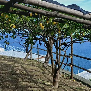  Holiday home Chez Amelie